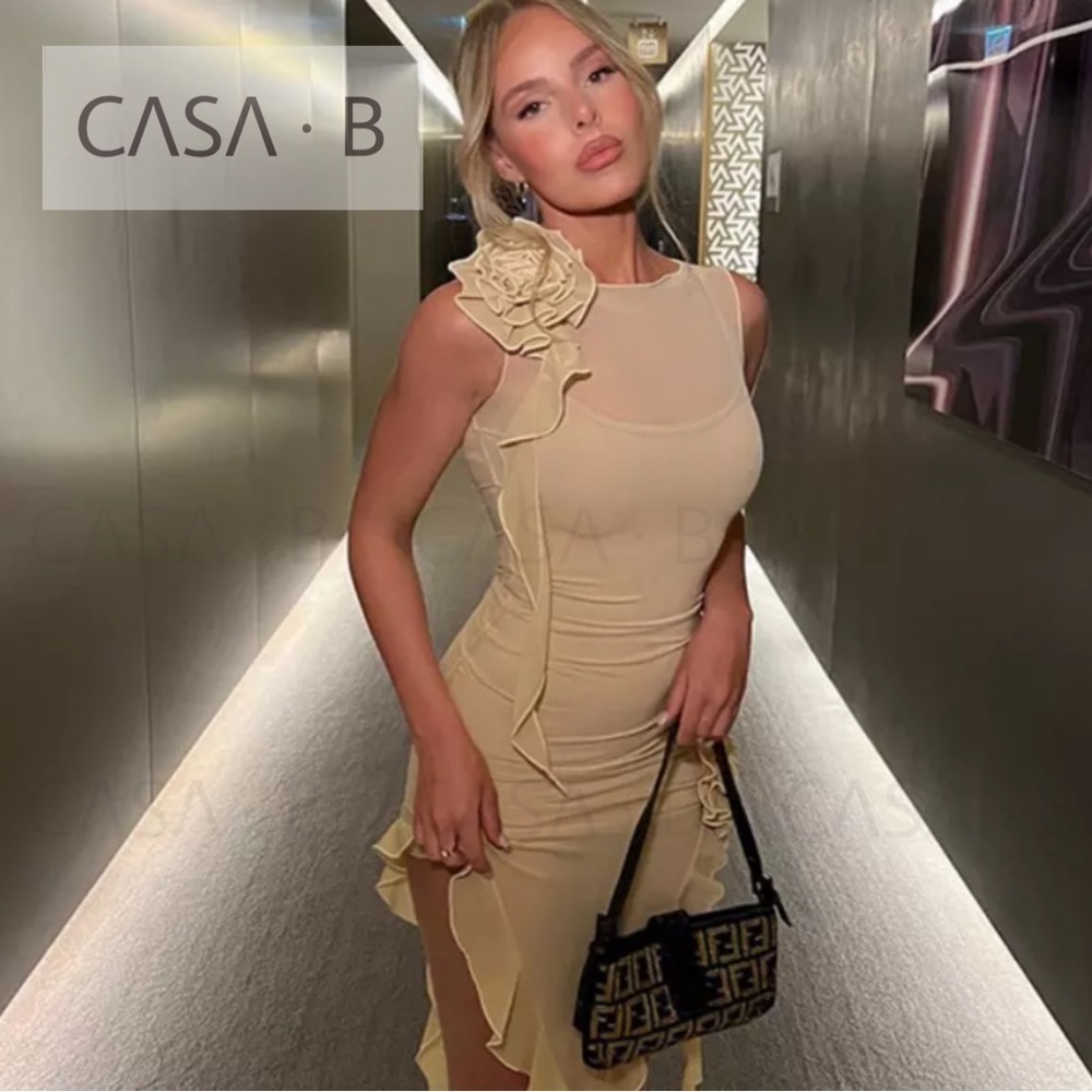 5⭐️CASA B | Florencia Sheer Mesh Floral Appliqué Dress in Nude